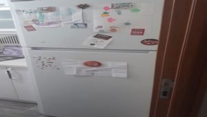 Esenyalı İkinci El Eşya Alan Yerler