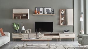 İkinci El Eşya Alanlar Orhangazi Mahallesi