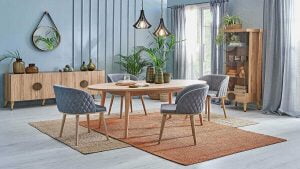 Maviğöl İkinci El Eşya Alan Yerler