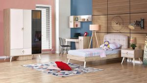 Ormanlı İkinci El Eşya Alan Yerler