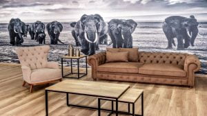 Güzelyalı İkinci El Eşya Alım Satımı