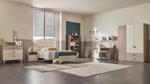 Emniyettepe İkinci El Eşya Alan Yerler