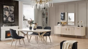 Danamandıra İkinci El Eşya Alım Satımı