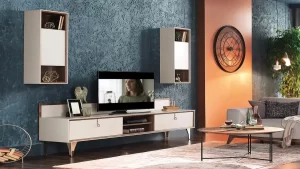 Bahariye İkinci El Eşya Alan Yerler